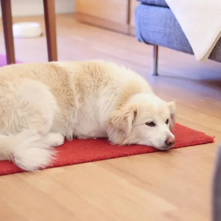 Juister Unterdeck 3zkb Apartmán