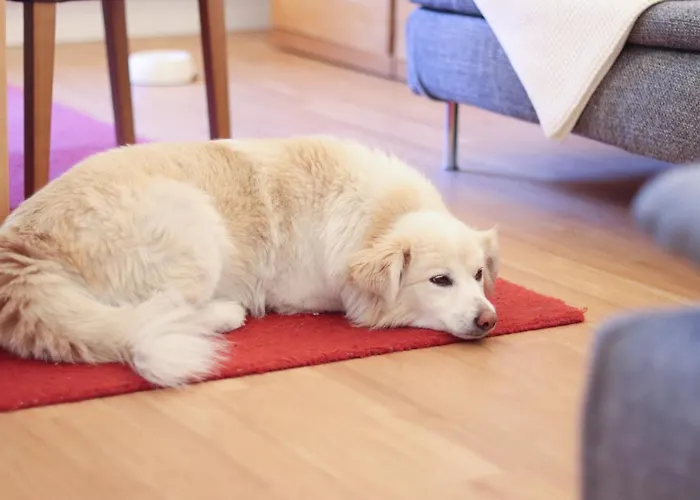 Juister Unterdeck 3zkb 아파트